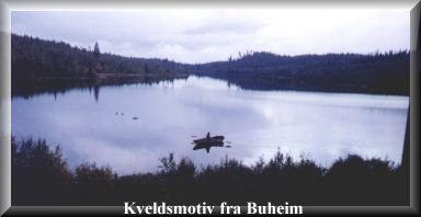 Buheim